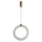Подвесной светильник LOFT IT Soho 10410/B