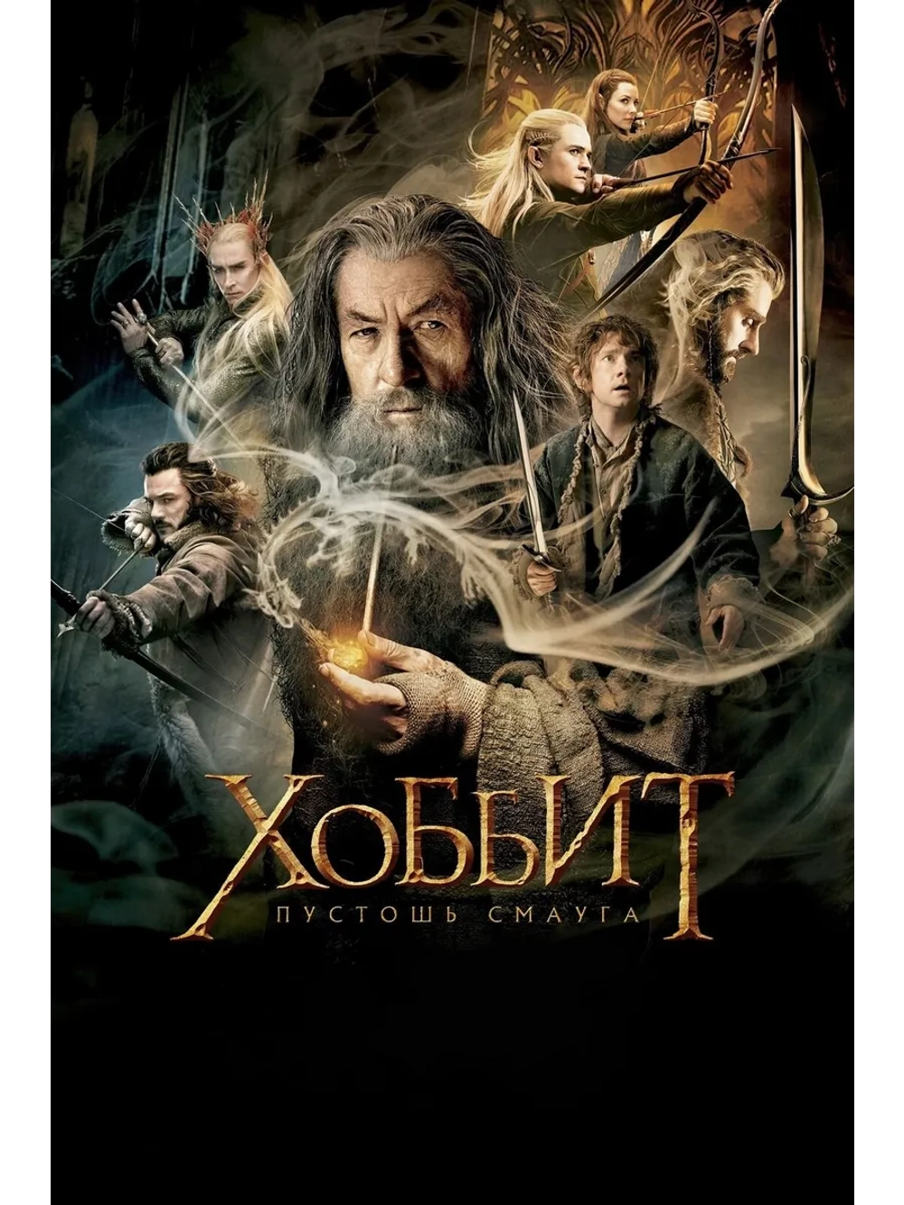 Хоббит: Пустошь Смауга (2013) (2 DVD) (DVD-R)