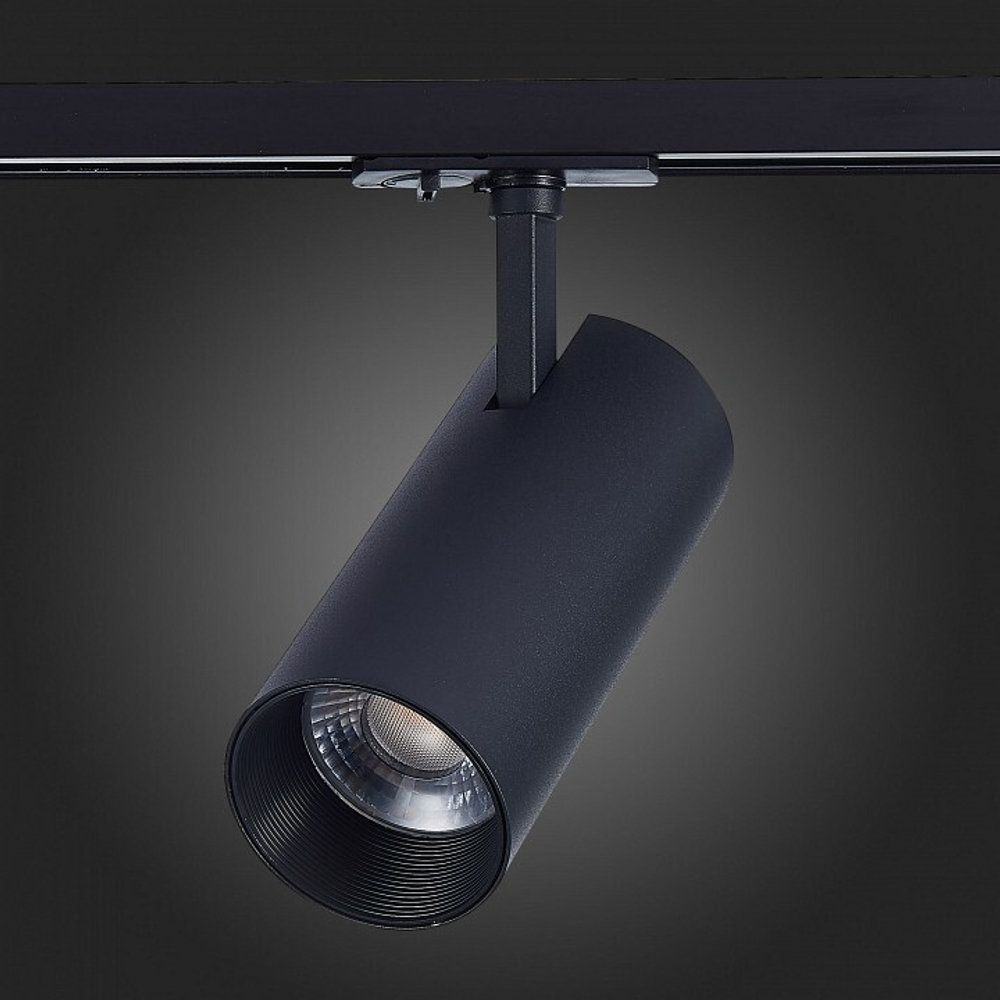 Светильник на штанге ST-Luce Mono ST350.436.30.36