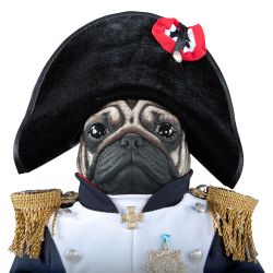 Кукла коллекционная Мопс Бонапарт