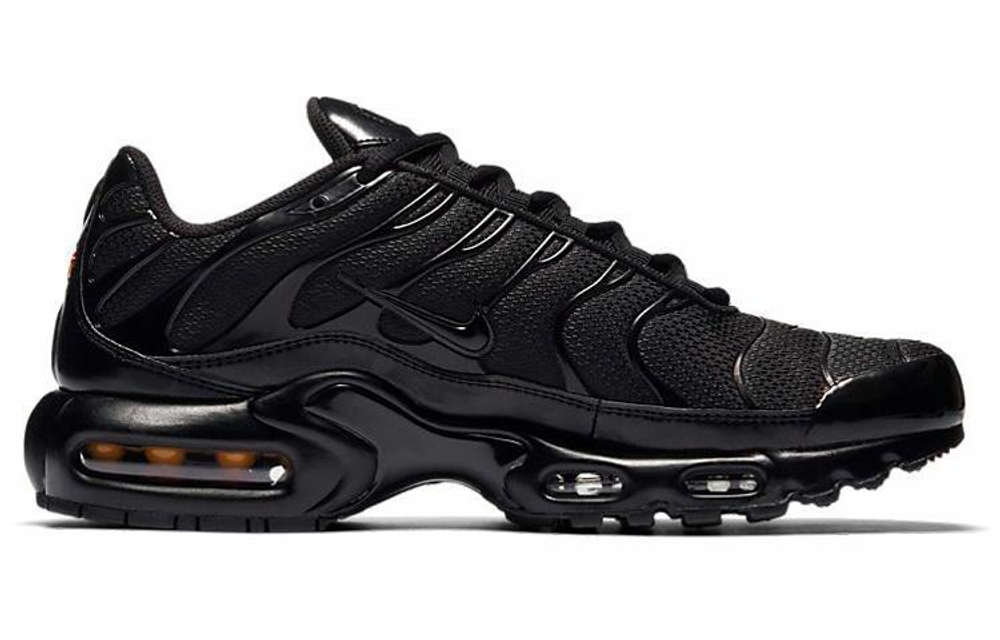 Кроссовки Nike Air Max Plus