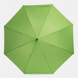 Зонт-трость WIND