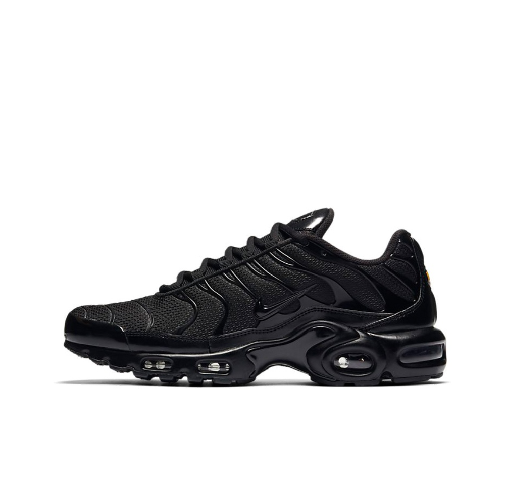 Мужские кроссовки Air Max Plus 'Triple Black' 604133-050