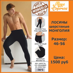 [m]Лосины мужские Монголия Ш006