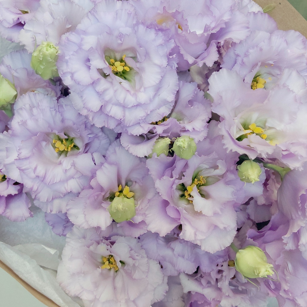 Соберу букет №214