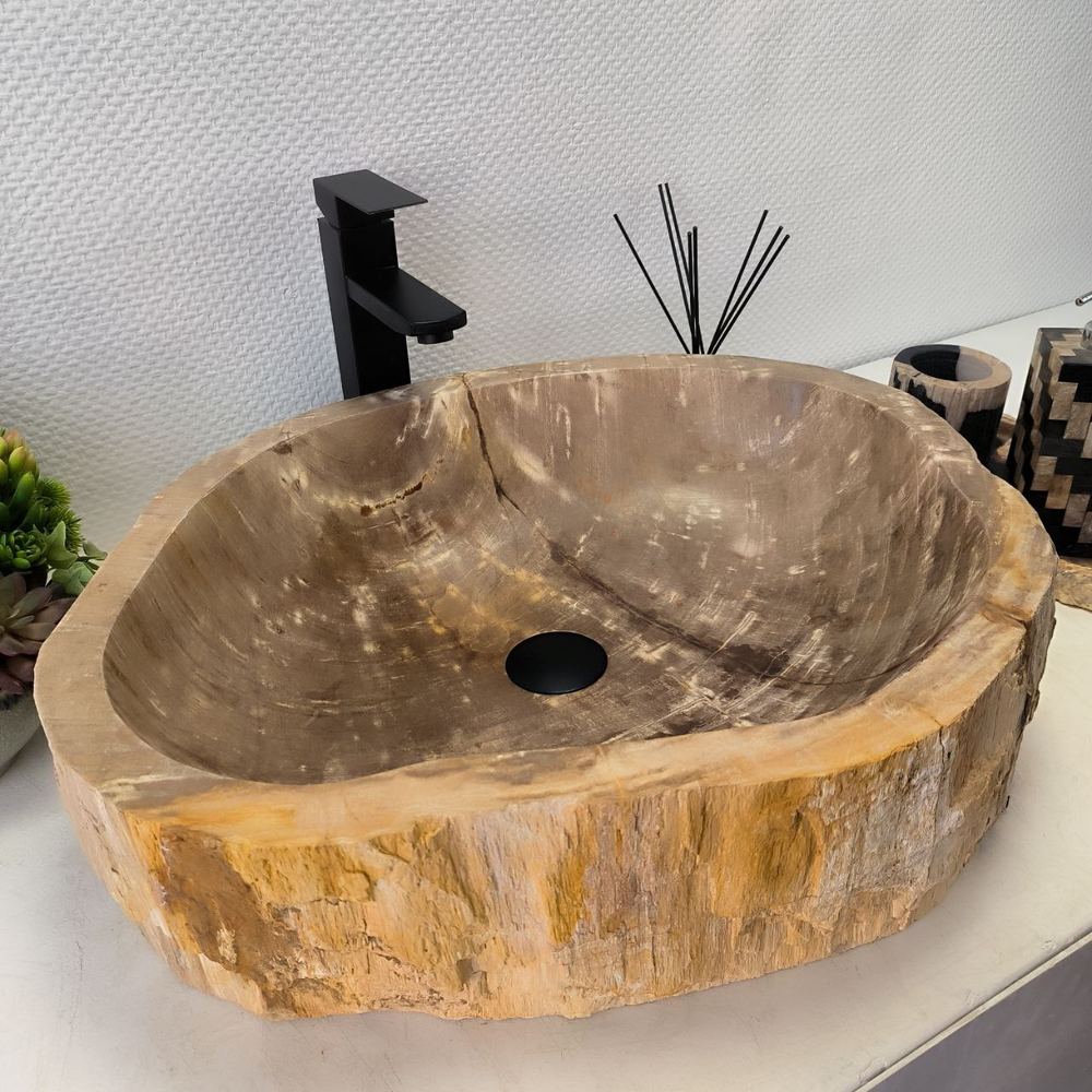 Раковина из окаменелого дерева FossilBasin OD-62416 59*49*15