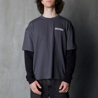  Лонгслив Dickies Payson 2-in-1 Let T-shirt артикул:DK0A88JFBLK1 - купить в магазине Дайс