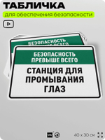 Табличка для обеспечения безопасности "Станция для промывания глаз", для производства, предприятия, 40х30 см, Silver Plane x Айдентика Технолоджи