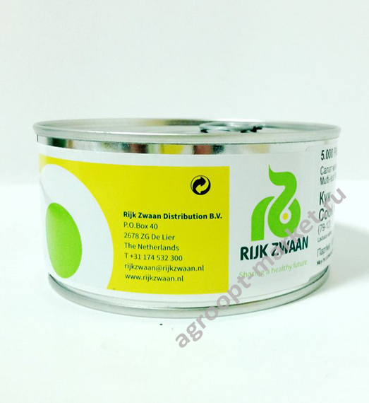 РОКСАЙ семена салата (Rijk Zwaan | Alexagro) – фото 10