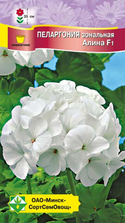 Пеларгония зональная "Алина F1" 4шт, Чехия.