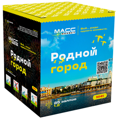 Салют Родной город