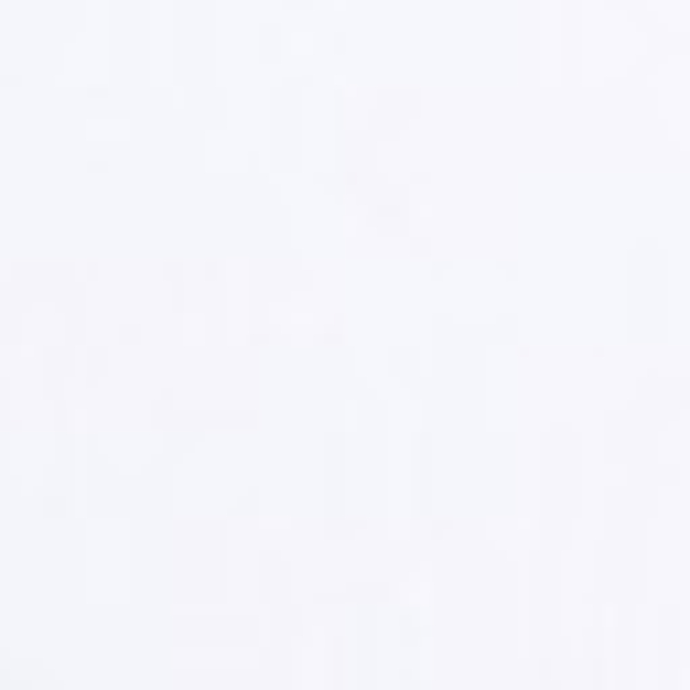 Стальная дверь  "Беркут" с зеркалом