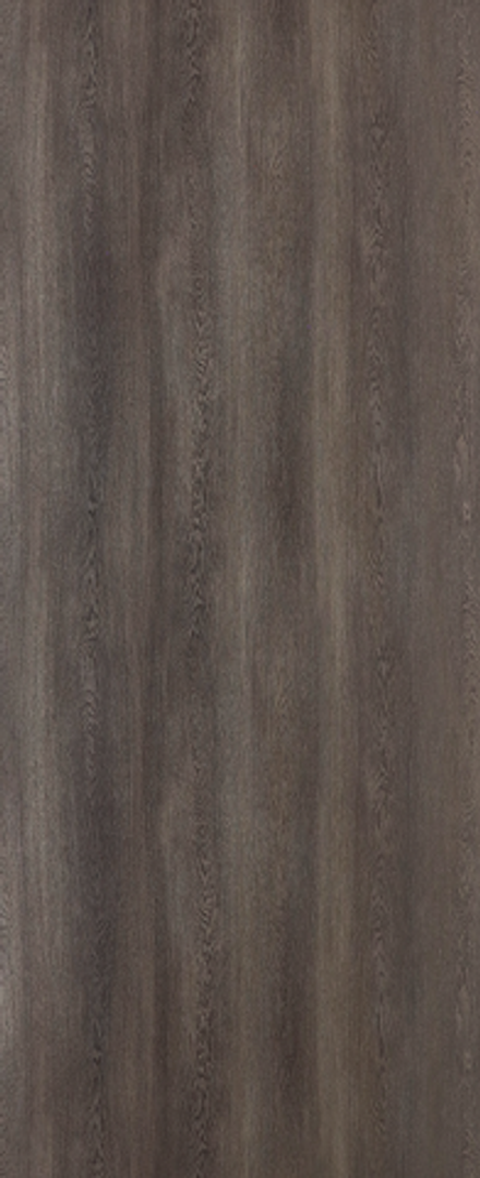 Дуб приморский