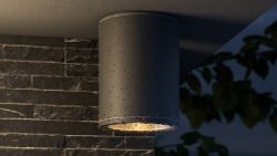 Уличный потолочный светодиодный светильник Maytoni Bar O306CL-L7GF