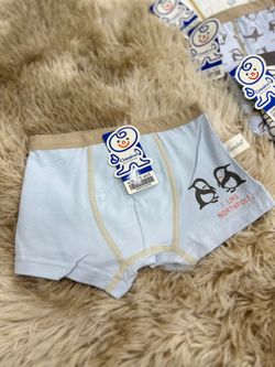 Боксер МАЛЬЧИК М1602