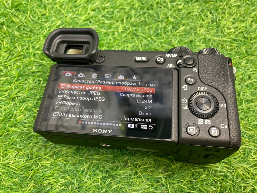 Sony A6600 (4.200 кадров)