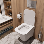 Унитаз подвесной Ceruttispa ВЕТТОРЕ (VETTORE) Aria MW CT9242 безободковый (480х340х350) белый матовый, ТЕРМООБЖИГ (не плёнка)