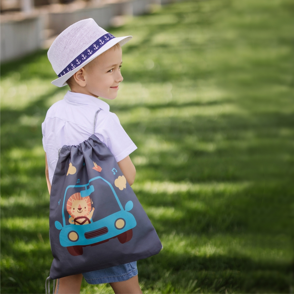 Набор для детского сада: кармашек, коврик, мешок. Львенок в машинке