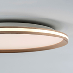 Потолочный светодиодный cветильник LED4U L3020-500 GD