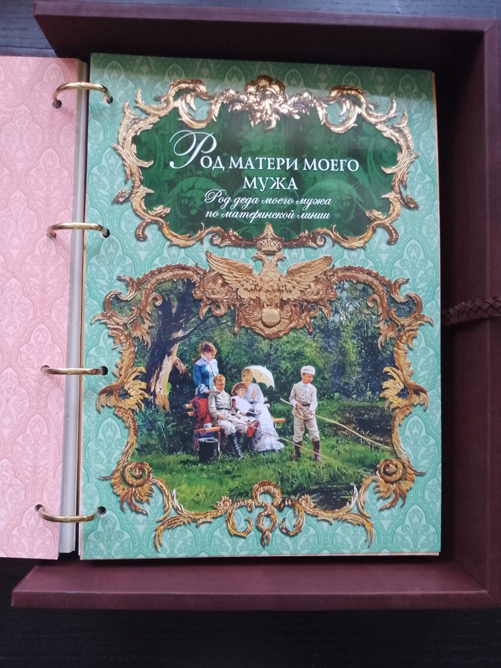 Большая семейная родословная книга "Столетие", натуральная кожа