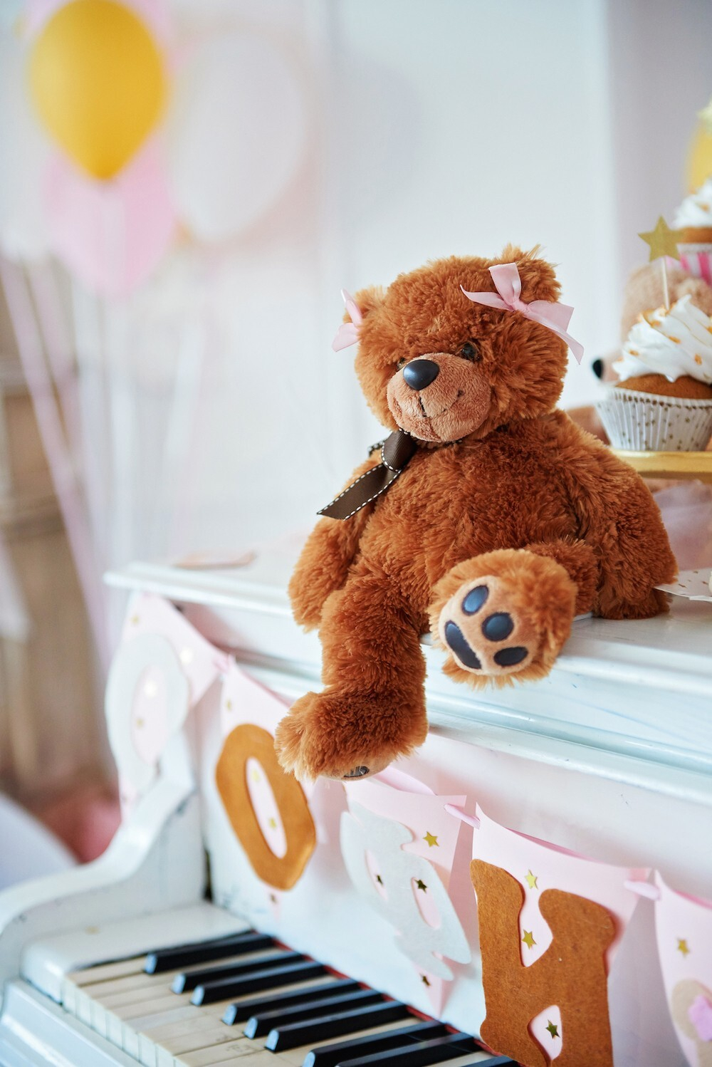 Teddy Bear Party