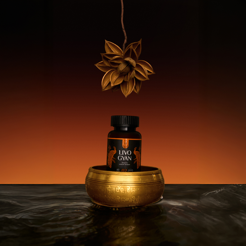 LIVO GYAN Аюрведический комплекс ЛИВО ГЯН Очищение печени 60шт