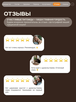 Корм сухой для взрослых стерилизованных кошек породы Шотландская вислоухая, полнорационный комплекс, с лососем, 2 кг, QUATTRO