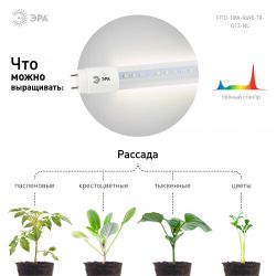 Фитолампа для растений светодиодная ЭРА FITO-18W-Ra90-Т8-G13-NL полного спектра 18 Вт Т8 G13