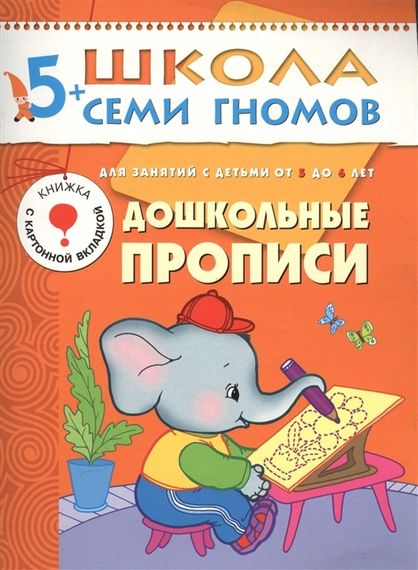 ШСГ Шестой год обучения. Дошкольные прописи.
