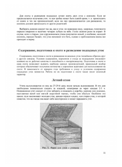 Подсадная утка и охота с ней | Я. С. Русанов