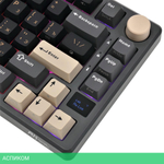 Клавиатура Royal Kludge RK-M75 Brown switch/Phantom