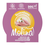 Ламистер для взрослых собак мини-пород Molina цыпленок в желе, 75 г 12шт