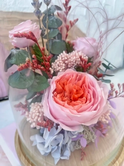 натуральные пионы в колбе