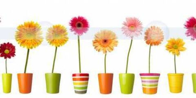 Фартук панель Герберы 600*3000мм/2