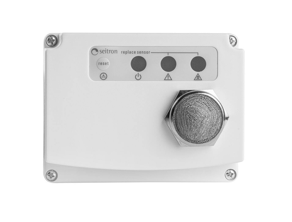 RGICO0L42M стационарный сигнализатор загазованности угарного газа (CO)