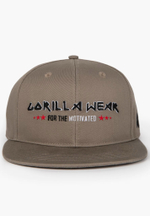 Бейсболка GORILLA Wayne Snapback Beige
