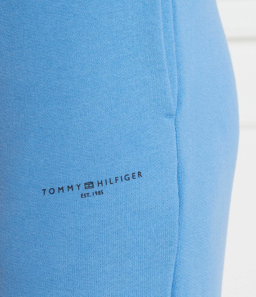 Спортивные штаны Tommy Hilfiger - голубой(WW0WW38690)