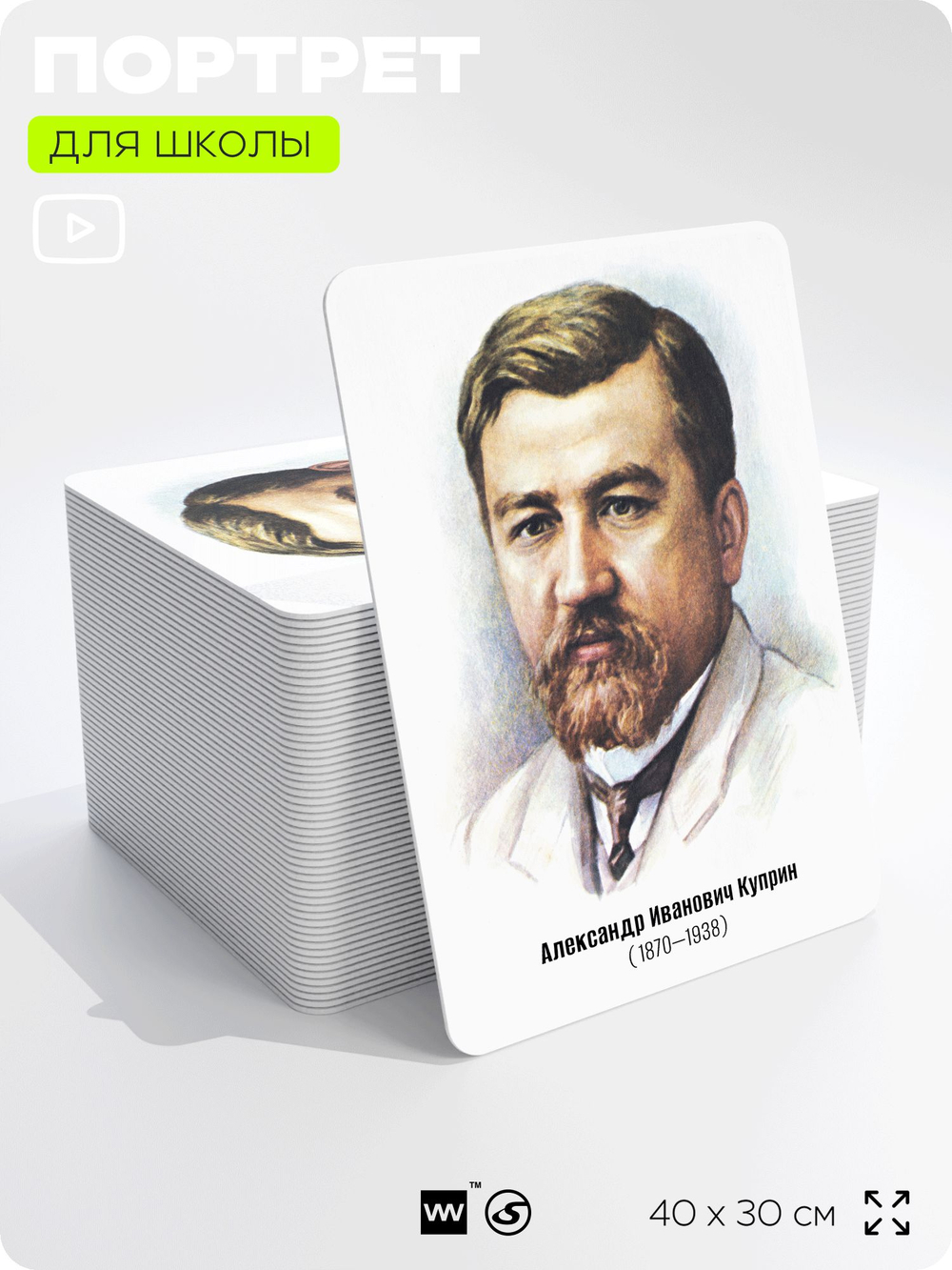Портрет для школы в кабинет литературы и русского языка "Куприн Александр Иванович", стенд школьный для класса, для оформления классного уголка, 40х30 см, Silver Plane x Айдентика Технолоджи