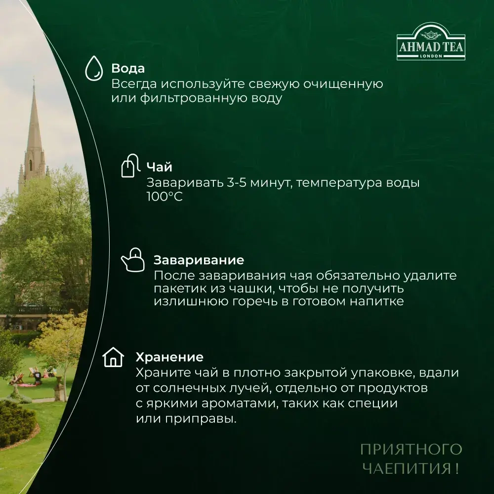 Зеленый чай с жасмином в пакетиках Ahmad Tea, 100 шт