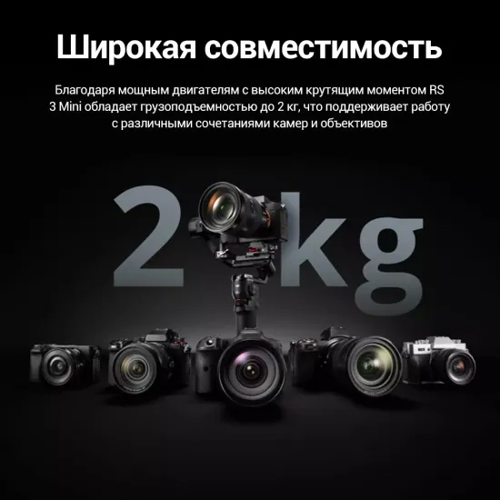 Стабилизатор DJI RS 3 Mini черный
