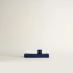 Набор из двух кухонных полотенец Elvin | синий