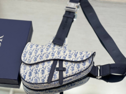 Christian Dior Saddle 26 cm