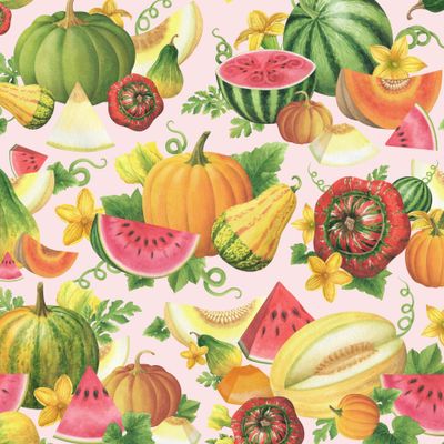 Арбузы, дыни, тыквы на розовом фоне