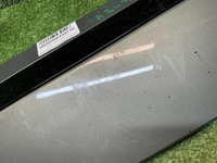 Накладка двери передняя правая Zeekr 001 (21-нв)