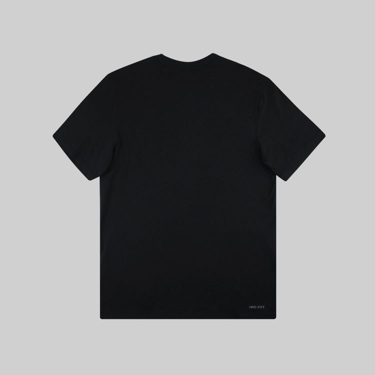 Футболка мужская Jordan Jumpman Dri-Fit артикул:CW5190-010 - купить в магазине Дайс