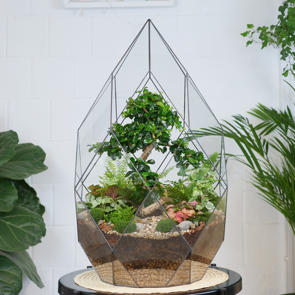 Флорариум бонсай Кармона Фаберже