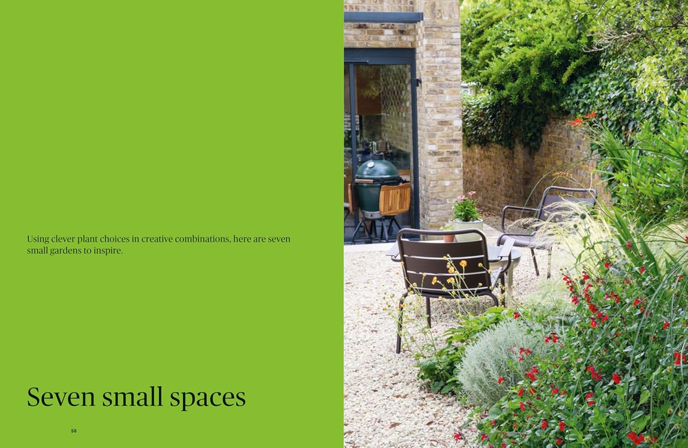 Colour in the Garden: Stylish ideas for year-round colour