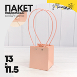 Пакет подарочный 13х11.5х11.5см Ваза для цветов (Розовый)