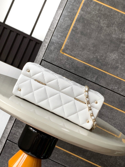 Chanel Bag (2 sizes)