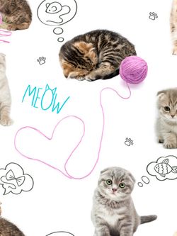 Простынь Сказка "Пушистики" 150х215 см, перкаль